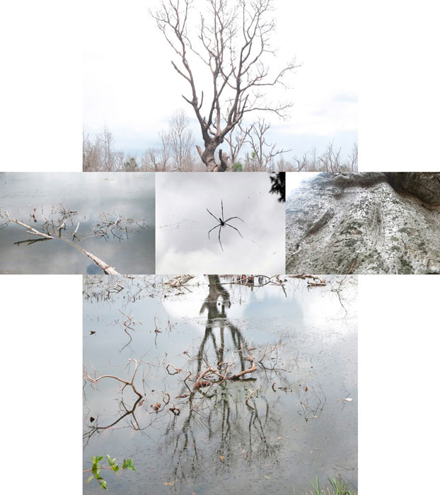 Francesca DI BONITO Visual photographer, Photography and photo editing / Visual Artiste